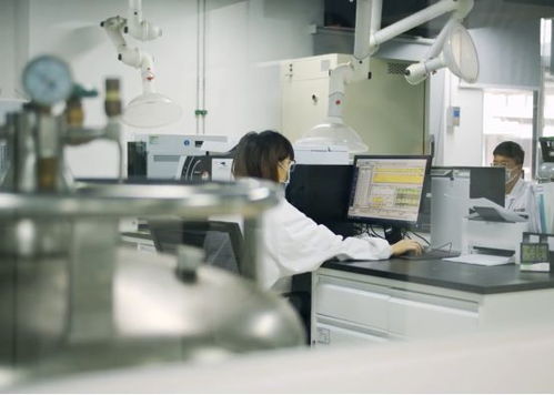 生產活力有序恢復，儀器儀表綜合服務與物聯網應用雙輪驅動助力企業提質增效